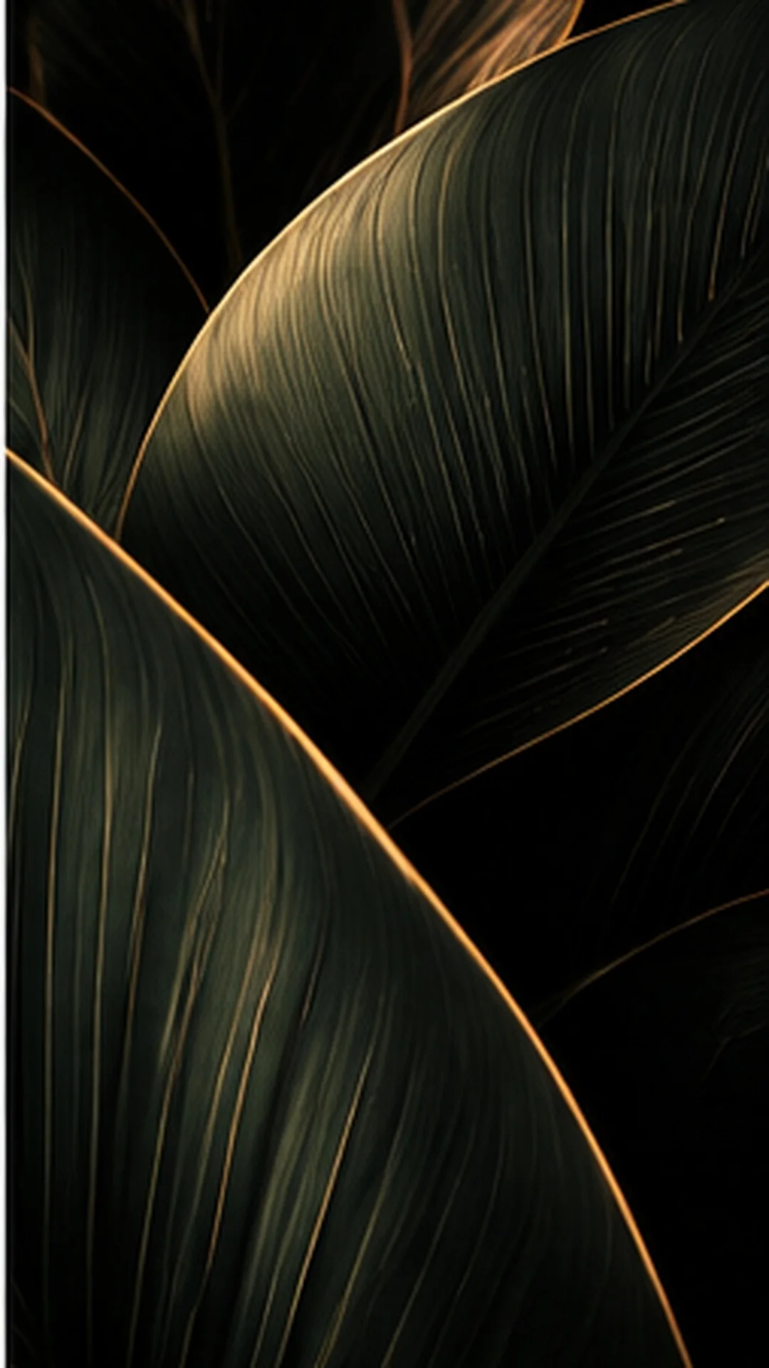 Dark sculptural leaves with fine amber-lit edges